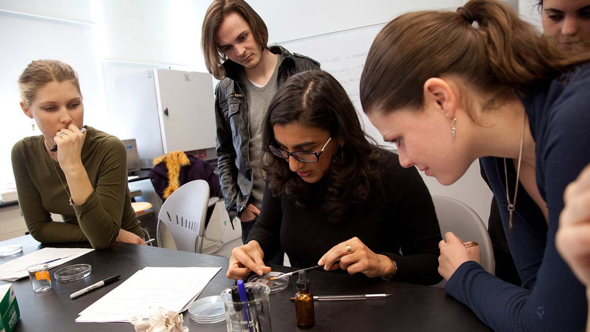 Stem cells in the lab