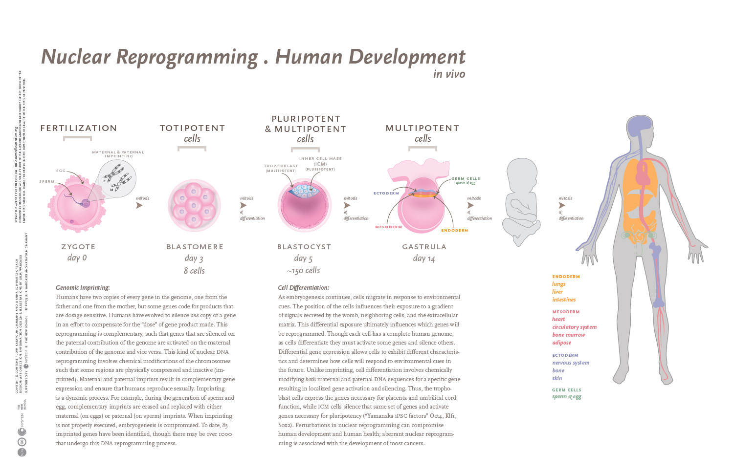 infographic