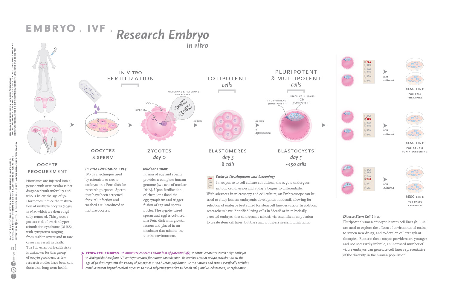 infographic