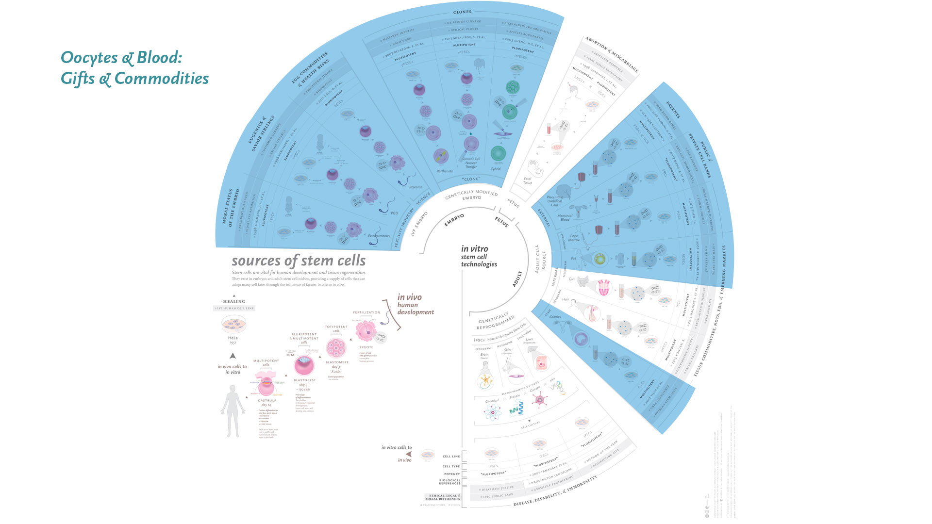 infographic